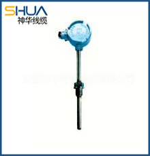 Fixed threaded pipe joint type thermocouple