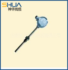 Fixed screw thermocouple