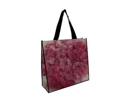 Non woven bag